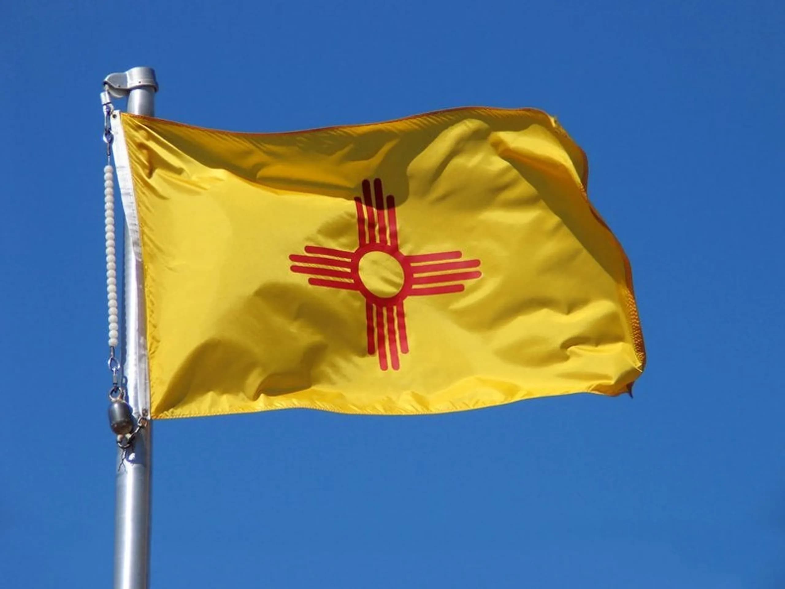 New Mexico flag