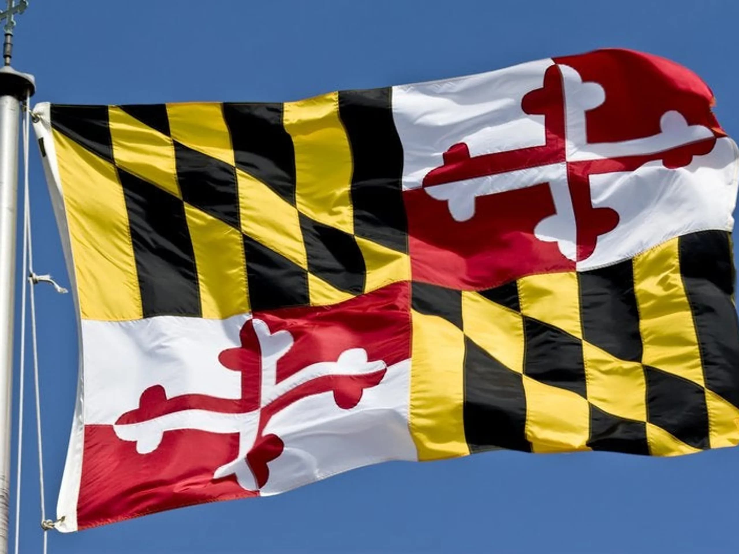 Maryland flag