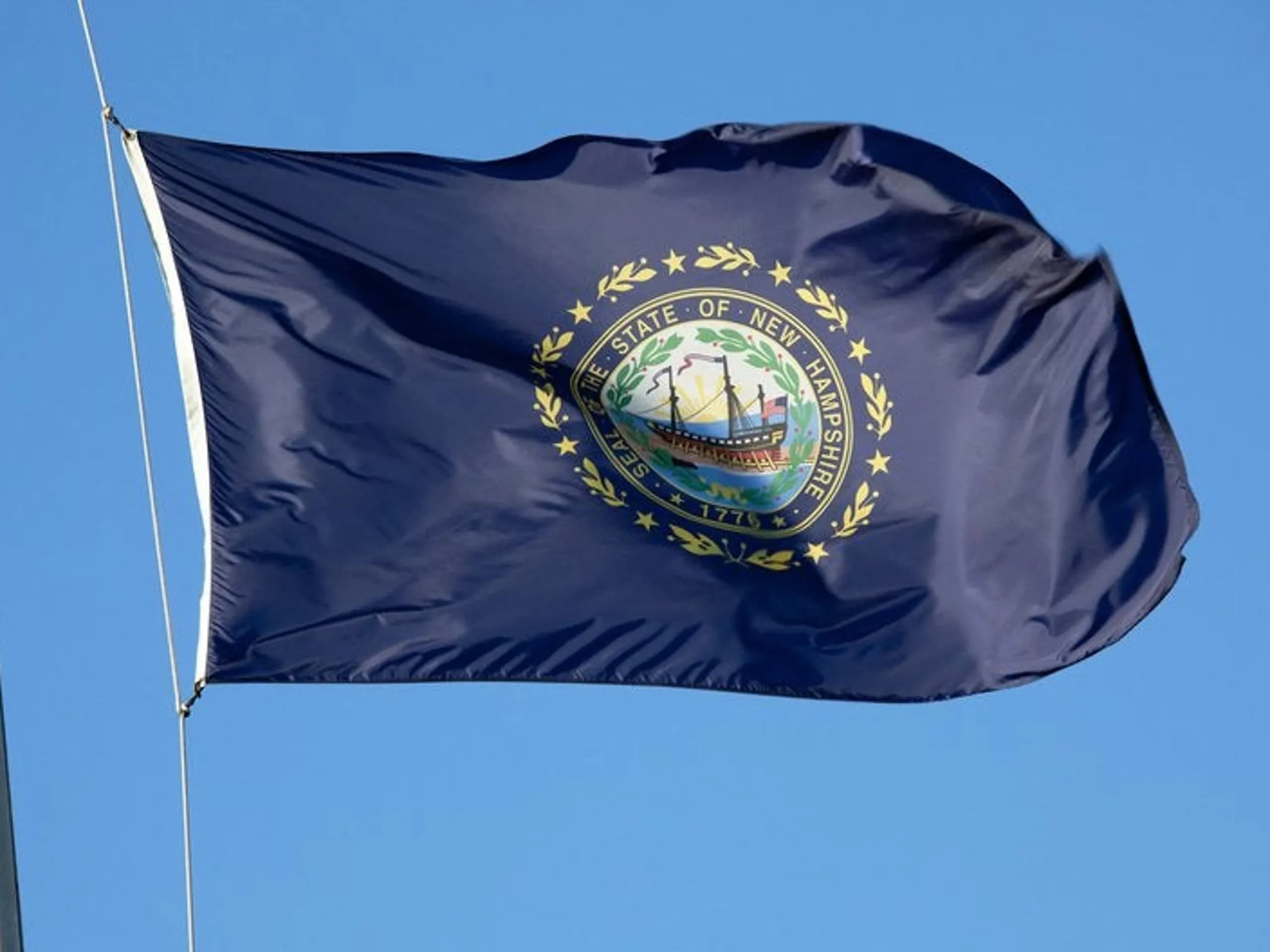 New Hampshire flag