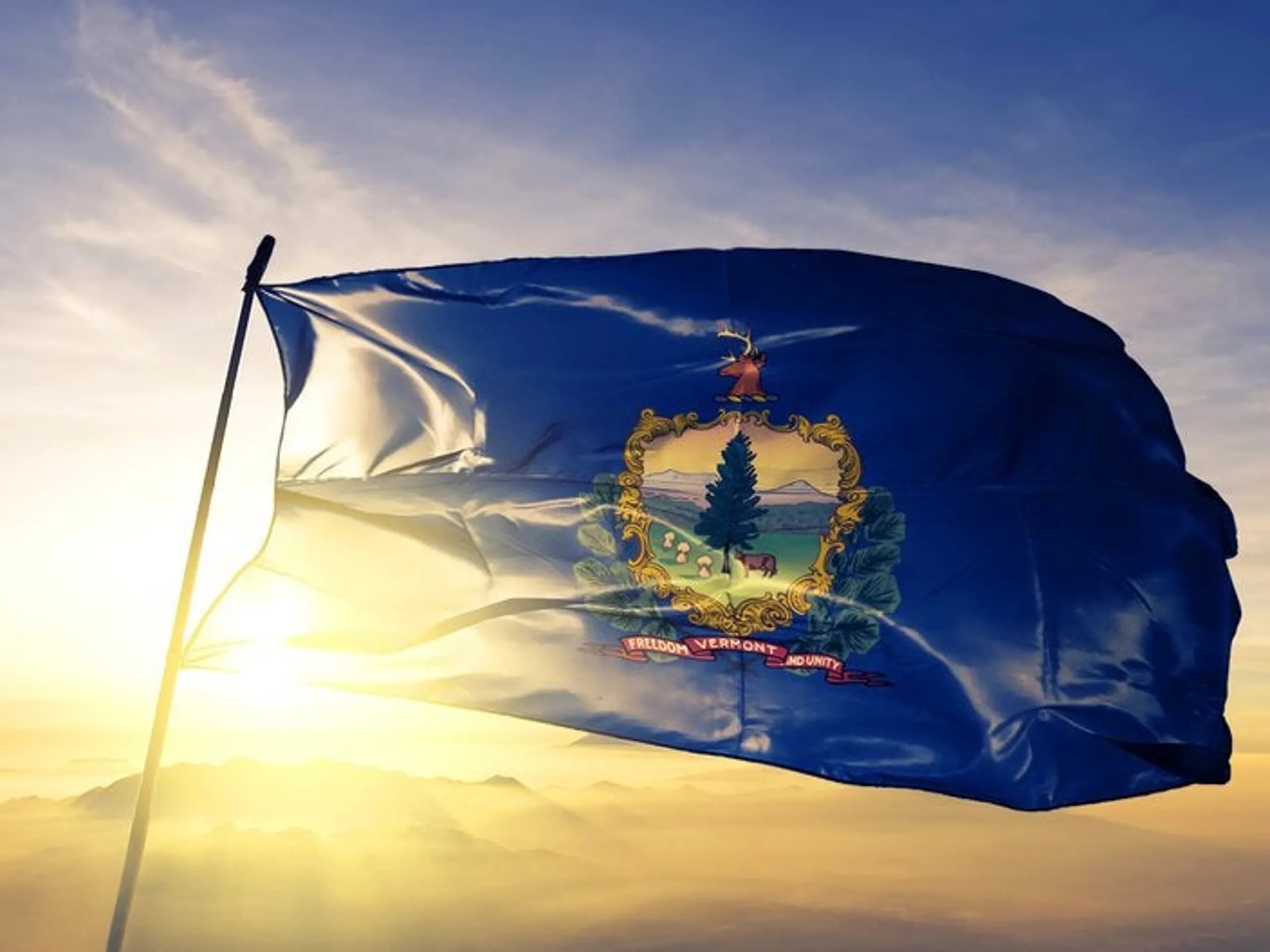 Vermont flag