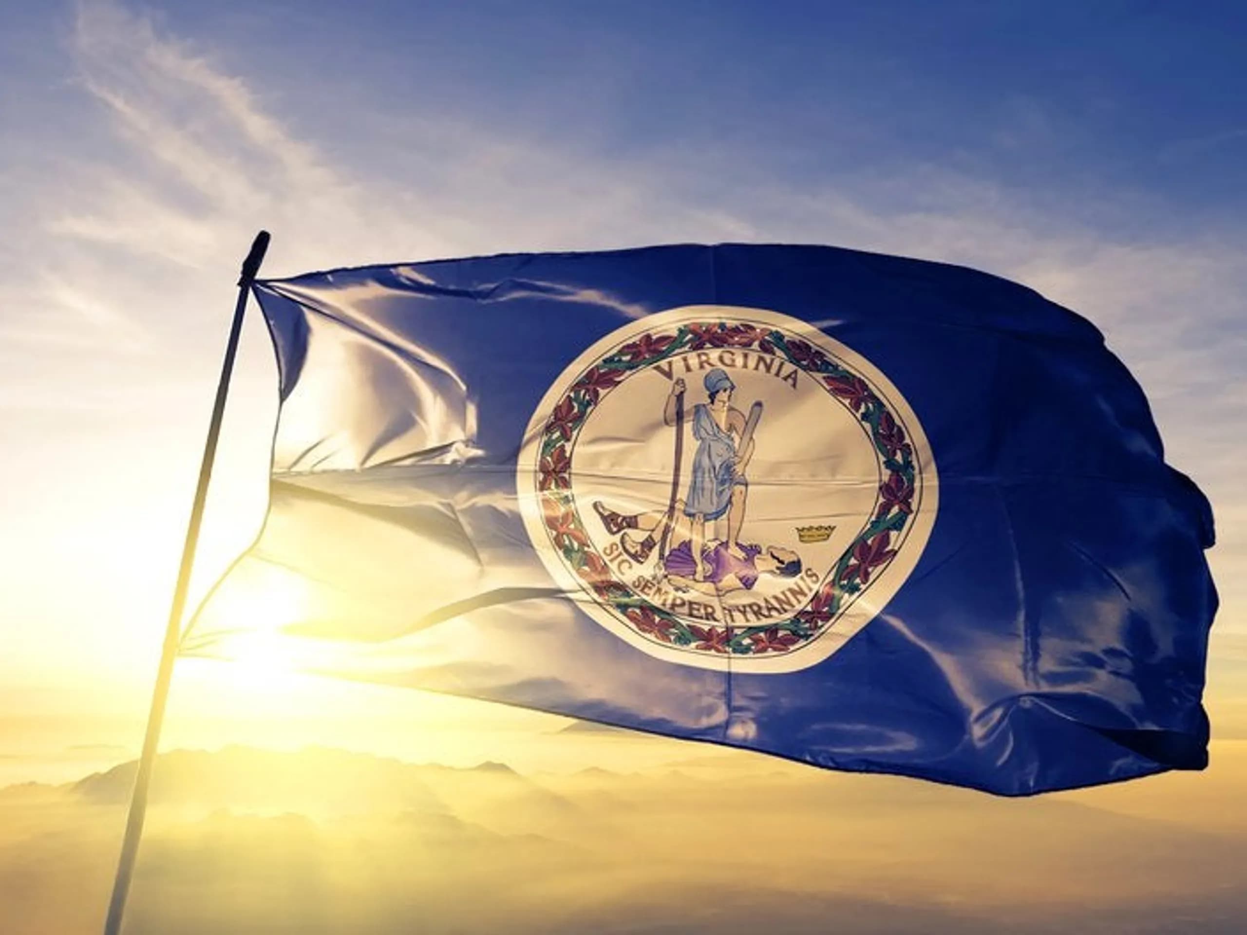Virginia flag